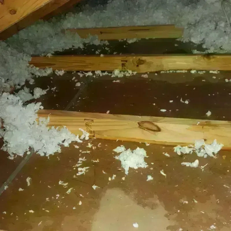 Attic Water Damage in La Luisa, PR